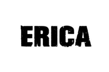 VFX Artist: Digital interface creation (UI), screen replacement and extensive clean-up for the series Erica on TF1.